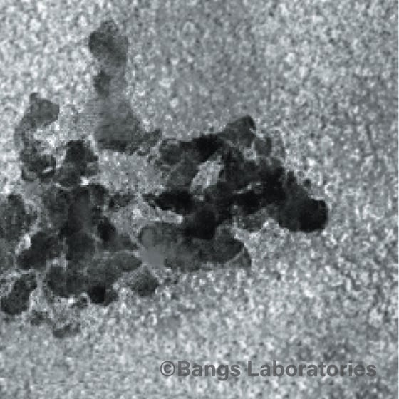 BioMagImageSquare