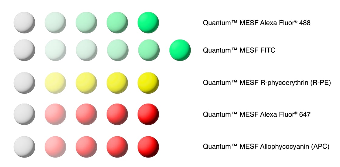 Bl.GR.Quantum MESF fluorescence.4.23.26