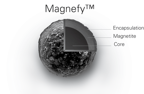 Magnefy™ Image